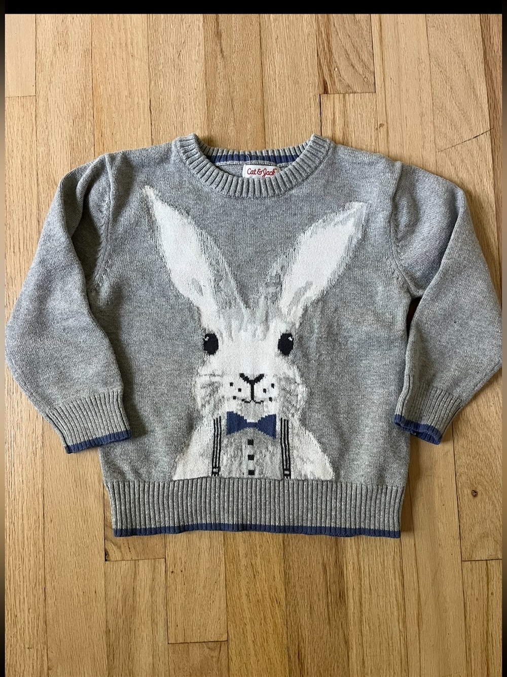 Cat & Jack Bunny Sweater